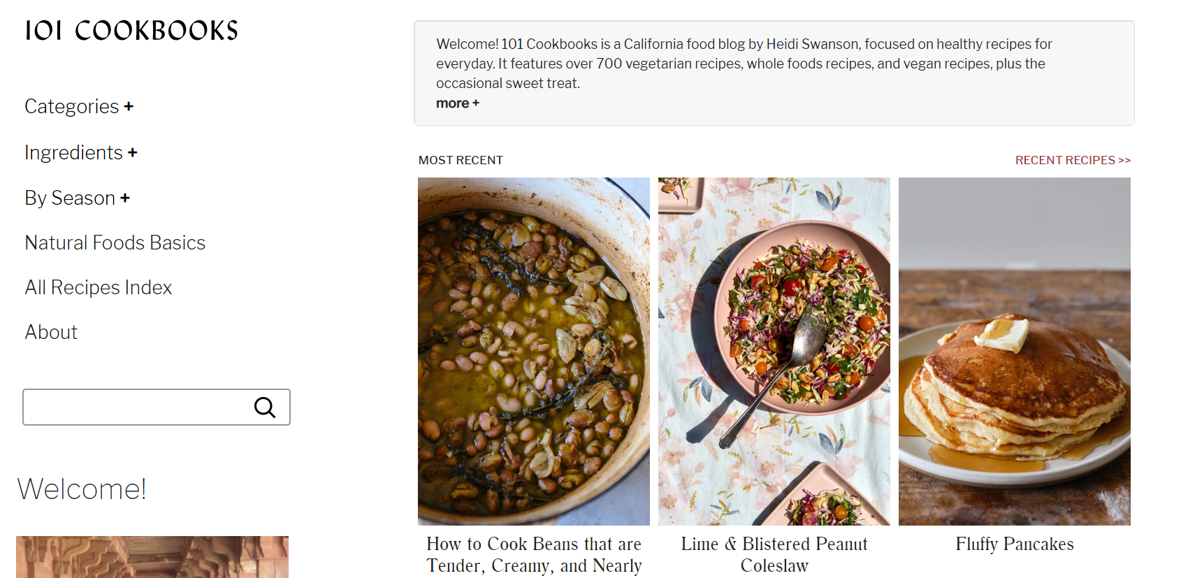 101 cookbooks